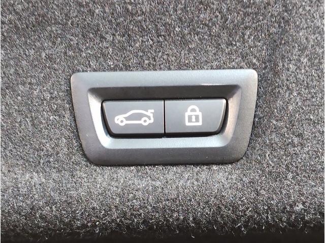 3シリーズ 320i Mスポーツ ハイラインパッケージ OP19インチAW ブラックレザーシート バックカメラ シートヒーター アクティブクルーズコントロール パドルシフト コンフォートアクセス 電動リアゲート 電動シート ヘッドアップディスプレイ(50枚目)