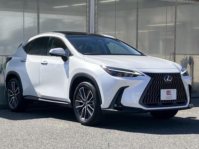 ＮＸ ＮＸ３５０ｈ　バージョンＬ　パノラマルーフ・三眼ＬＥＤヘッド・１４インチ純正ナビ・ディスクプレイヤー・メモリー機能付き黒革電動シート・ヒーター＆ベンチレーション・ＡＣＣ／ＬＴＡ／ＢＳＭ・ＨＵＤ・電動リアゲート・純正２０ＡＷ・禁煙（30枚目）