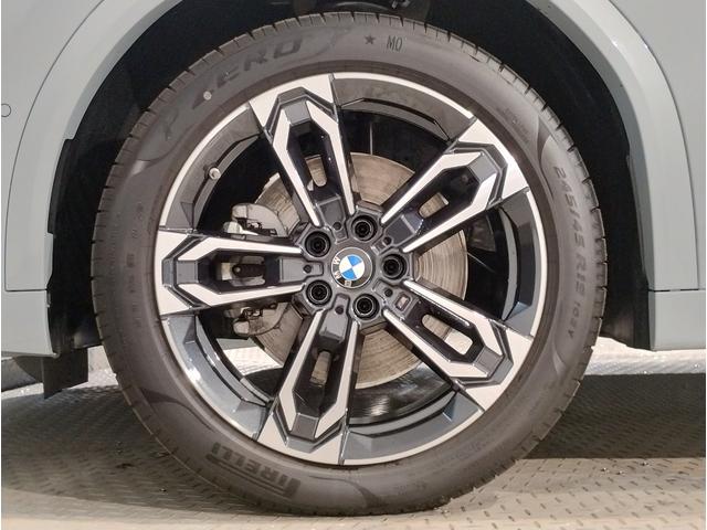 X2 xDrive 20i Mスポーツ 元弊社デモレンタ・アクティブクルーズコントロール・純正ナビ・全周囲カメラ・PDC・パワーシート・シートヒーター・ステアリングヒーター・パワーバックドア・アイコニックグロー・インテリジェントセーフティ(34枚目)
