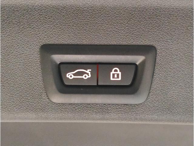 Ｘ６ ｘＤｒｉｖｅ　３５ｄ　Ｍスポーツ　ワンオーナー　プラスパッケージ　サンルーフ　コンフォートパッケージ　クリスタルフィニッシュ　純正２２インチアルミホイール　アイボリーレザーシート　ソフトクローズドア　ベンチレーションシート　純正地デジ（34枚目）