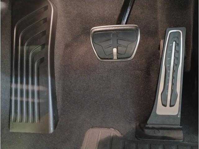 Ｘ６ ｘＤｒｉｖｅ　３５ｄ　Ｍスポーツ　ワンオーナー　プラスパッケージ　サンルーフ　コンフォートパッケージ　クリスタルフィニッシュ　純正２２インチアルミホイール　アイボリーレザーシート　ソフトクローズドア　ベンチレーションシート　純正地デジ（52枚目）