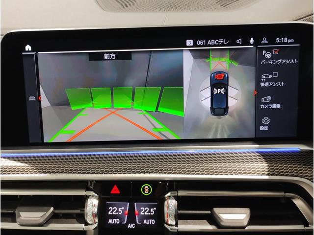 Ｘ６ ｘＤｒｉｖｅ　３５ｄ　Ｍスポーツ　ワンオーナー　プラスパッケージ　サンルーフ　コンフォートパッケージ　クリスタルフィニッシュ　純正２２インチアルミホイール　アイボリーレザーシート　ソフトクローズドア　ベンチレーションシート　純正地デジ（64枚目）