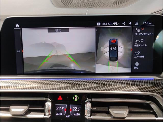 Ｘ６ ｘＤｒｉｖｅ　３５ｄ　Ｍスポーツ　ワンオーナー　プラスパッケージ　サンルーフ　コンフォートパッケージ　クリスタルフィニッシュ　純正２２インチアルミホイール　アイボリーレザーシート　ソフトクローズドア　ベンチレーションシート　純正地デジ（65枚目）