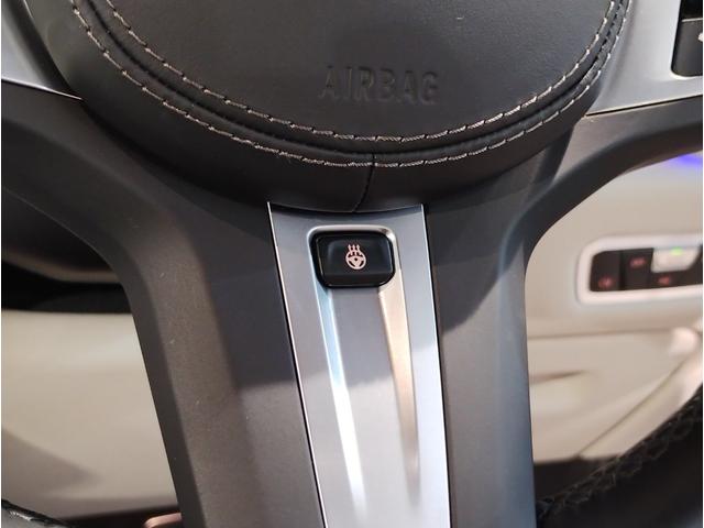 Ｘ６ ｘＤｒｉｖｅ　３５ｄ　Ｍスポーツ　ワンオーナー　プラスパッケージ　サンルーフ　コンフォートパッケージ　クリスタルフィニッシュ　純正２２インチアルミホイール　アイボリーレザーシート　ソフトクローズドア　ベンチレーションシート　純正地デジ（70枚目）