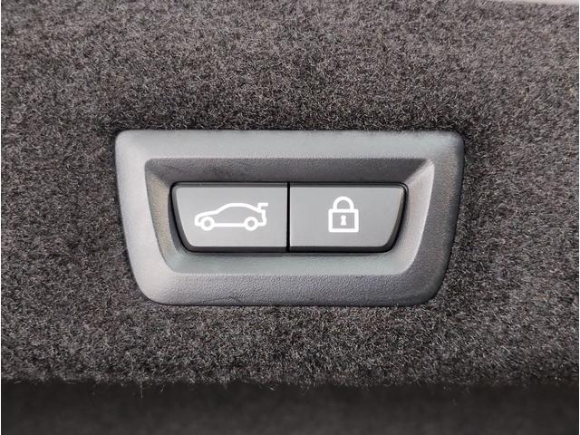 ７シリーズ ７４０ｄ　ｘＤｒｉｖｅ　Ｍスポーツ　ブラックレザー　ベンチレーションシート　ヘッドアップディスプレイ　全周囲カメラ　ＨＤＤナビ　地デジ　ソフトクローズドア　パワーシート　シートヒーター　電動リアゲート　アクティブクルーズコントロール（29枚目）