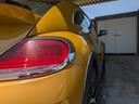 VOLKSWAGEN THE BEETLE