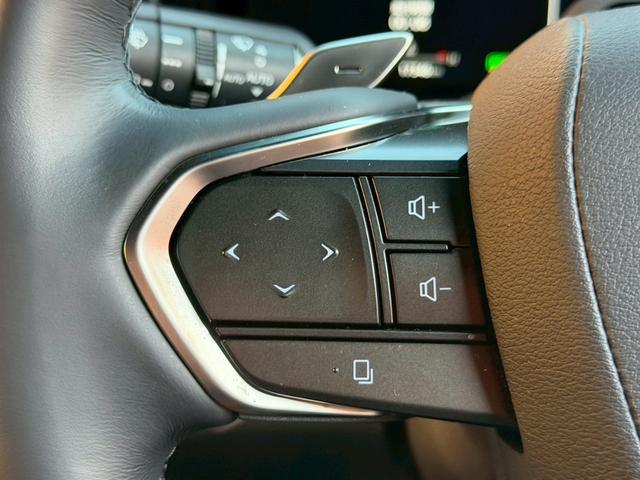 ＬＭ ＬＭ５００ｈ　エグゼクティブ　モデリスタエアロ／４８インチ後席スクリーン／１９インチ純正ＡＷ／ガラスルーフ／マークレビンソン／全周囲カメラ／デジタルインナーミラー／ユニバーサルステップ／グラファイトブラックガラスフレーク（25枚目）