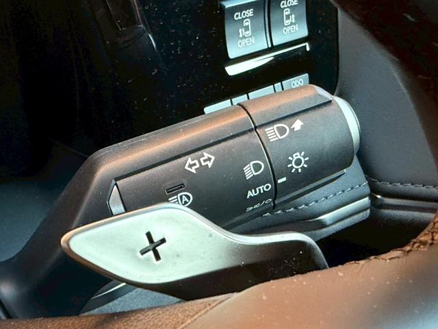 ＬＭ ＬＭ５００ｈ　エグゼクティブ　モデリスタエアロ／４８インチ後席スクリーン／１９インチ純正ＡＷ／ガラスルーフ／マークレビンソン／全周囲カメラ／デジタルインナーミラー／ユニバーサルステップ／グラファイトブラックガラスフレーク（61枚目）