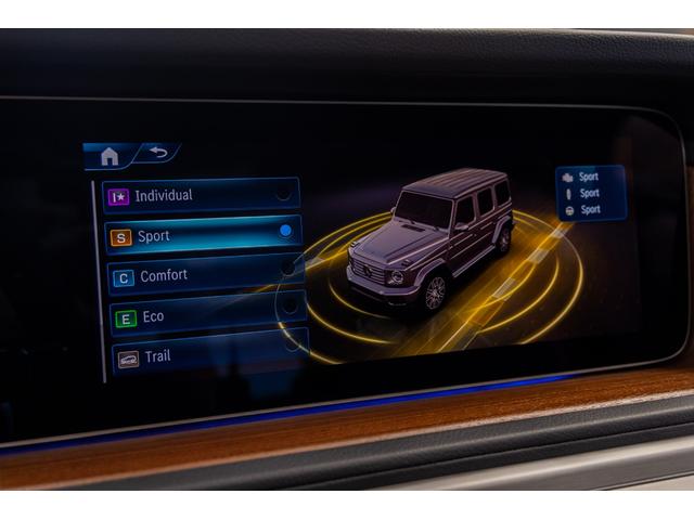 Gクラス G450d(68枚目)