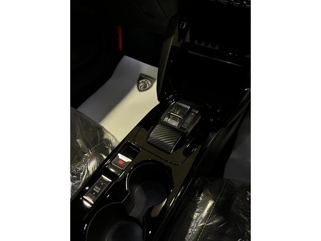 ｅ－２０８ アリュール　認定中古車　ＥＶ車　バックカメラ　カープレイ（18枚目）