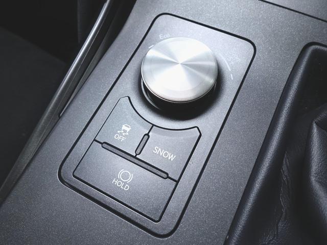 ＩＳ ＩＳ５００　Ｆスポーツパフォーマンス（20枚目）