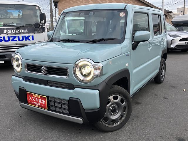 ޥɥϥ֥åɡեƥݡܡ ץߥǧż֡ԵΥ̵¤Σǯ֥ݾڡ 1