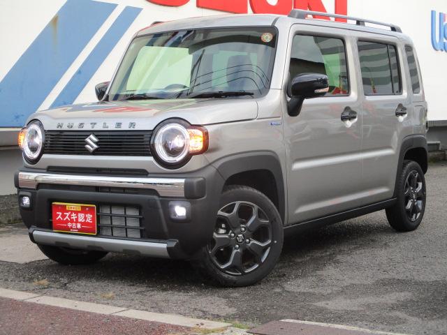  ϥ顼 ե磻ɡ֥졼ݡȡȥ饤