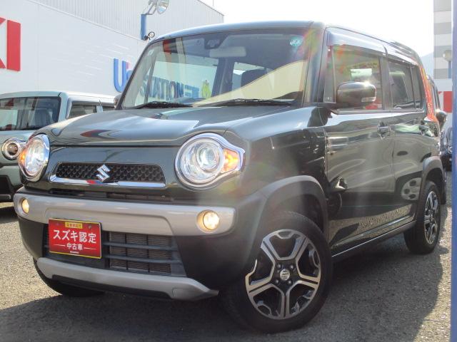  ϥ顼 إܡͣңӡ꡼ʥӡХå