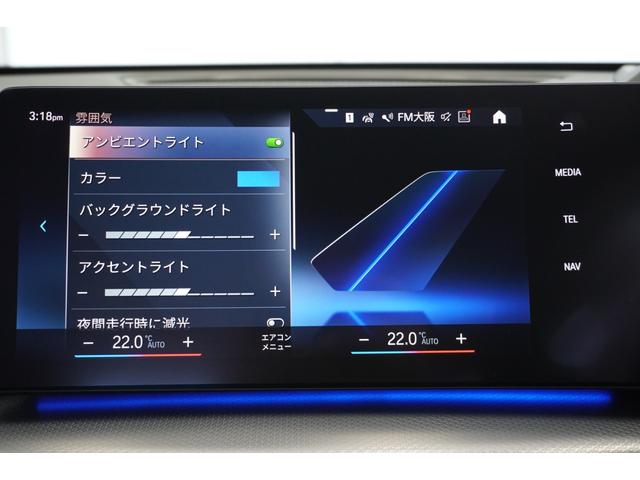 Ｘ１ ｘＤｒｉｖｅ　２０ｄ　Ｍスポーツ　ヘッドアップディスプレイ　ドライビングアシストプロフェッショナル　パーキングアシストプラス　サンプロテクションガラス　オートマチックテールゲート　電動シート　シートヒーター　ヒルディセントコントロール（29枚目）