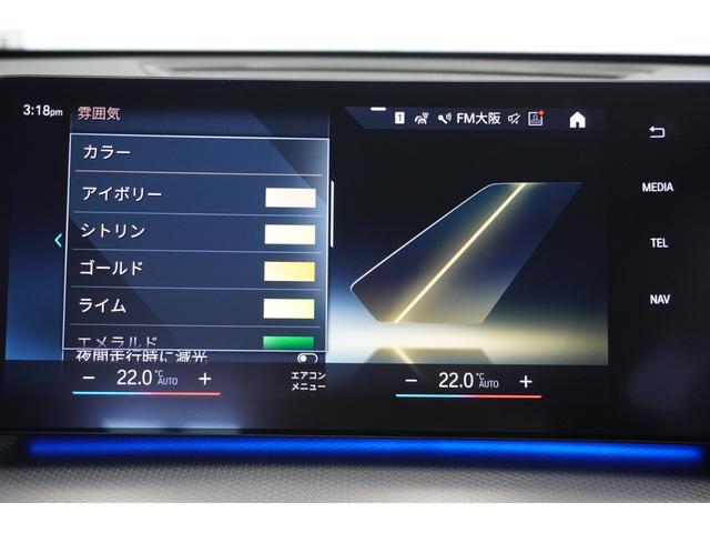 Ｘ１ ｘＤｒｉｖｅ　２０ｄ　Ｍスポーツ　ヘッドアップディスプレイ　ドライビングアシストプロフェッショナル　パーキングアシストプラス　サンプロテクションガラス　オートマチックテールゲート　電動シート　シートヒーター　ヒルディセントコントロール（30枚目）