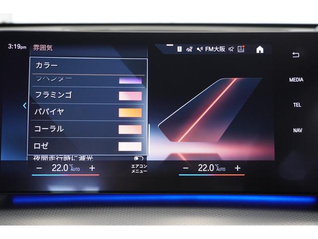Ｘ１ ｘＤｒｉｖｅ　２０ｄ　Ｍスポーツ　ヘッドアップディスプレイ　ドライビングアシストプロフェッショナル　パーキングアシストプラス　サンプロテクションガラス　オートマチックテールゲート　電動シート　シートヒーター　ヒルディセントコントロール（32枚目）