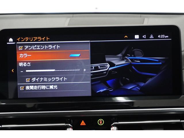 Ｘ３ ｘＤｒｉｖｅ　２０ｄ　Ｍスポーツ　弊社下取１オーナー　パノラマガラスサンルーフ　純正２０インチアロイホイール　サウンドパッケージ　ステアリングホイールヒーティング　地デジチューナー　ブラックレザーシート　全国２年保証　認定中古車（32枚目）