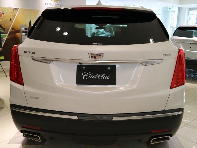 ラグジュアリー・正規ディーラー車・保証付き・レザーシート(6枚目)