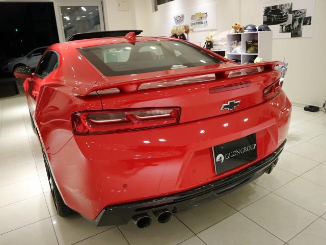 SS・正規ディーラー車・保証付き・レザーシート(17枚目)