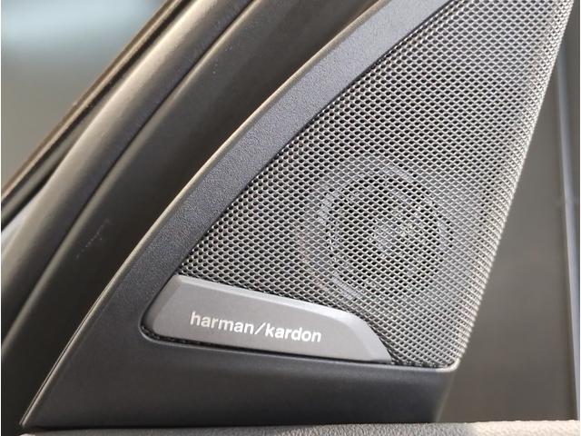 X3 xDrive 20d Mスポーツ セレクトパッケージ サンルーフ ハーマンカードンサウンドシステム 19インチアルミ ステアリングサポート トップビューカメラ 衝突軽減ブレーキ 車線逸脱警告 電動トランク(48枚目)