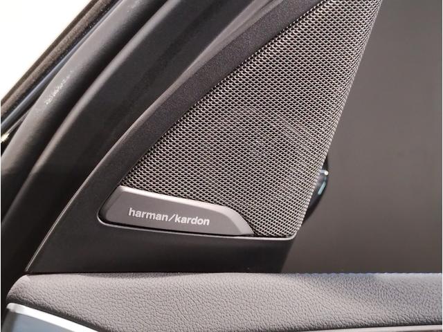 X3 M40i 1オーナー ファストトラックPKG セレクトPKG ブラックレザー パノラマガラスサンルーフ ステアリングヒーター Mスポーツブレーキ赤キャリパー harman/kardon 20インチAW(54枚目)