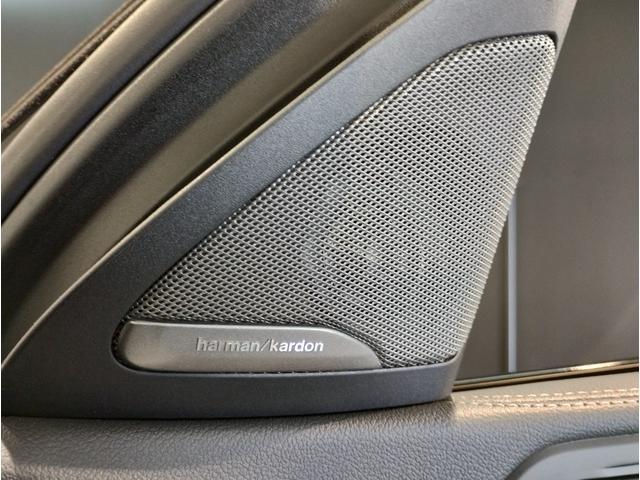 Ｘ６ Ｍ５０ｉ　ワンオーナー　サンルーフ　プラスＰＫＧ　ｈａｒｍａｎ／ｋａｒｄｏｎ　冷温カップホルダー　ソフトクローズドア　黒レザーシート　ドライビングアシストプロ　ライブコックピット　パドルシフト　フルセグＴＶ（46枚目）