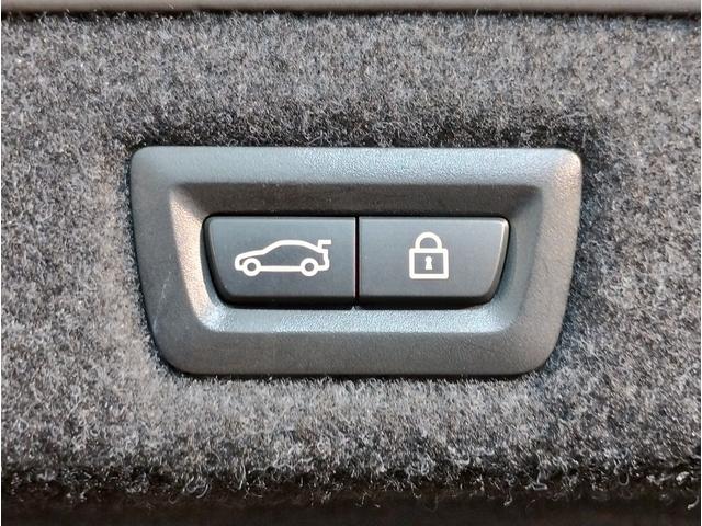 ５シリーズ ５２３ｄ　ラグジュアリー　デビューＰＫＧ　ブラックレザーシート　前後シートヒーター　アクティブクルーズコントロール　パーキングアシストプラス　ヘッドアップディスプレイ　アンビエントライト　電動シート　電動トランク　１８ＡＷ（74枚目）