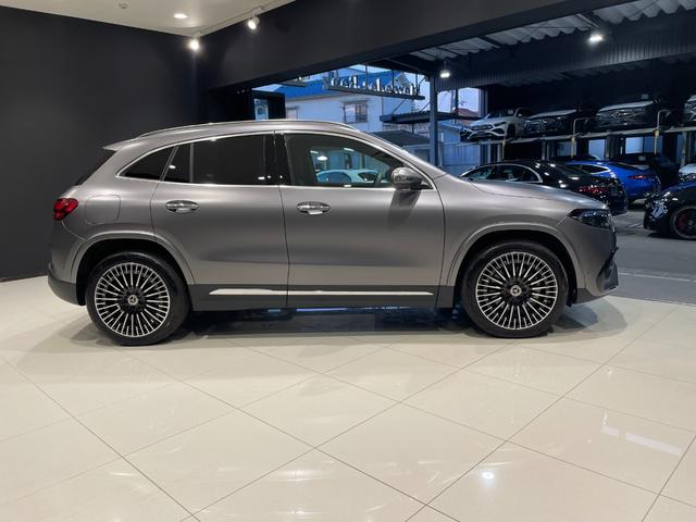 ＥＱＡ ＥＱＡ２５０＋　ＡＭＧラインパッケージ（4枚目）