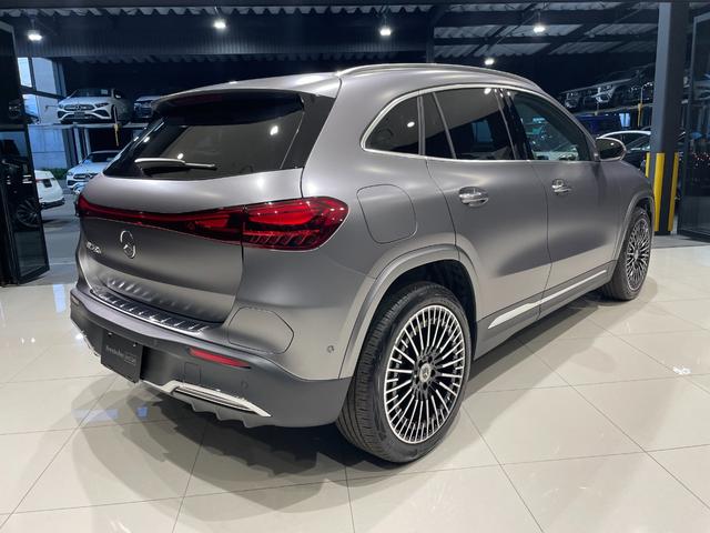 ＥＱＡ ＥＱＡ２５０＋　ＡＭＧラインパッケージ（5枚目）