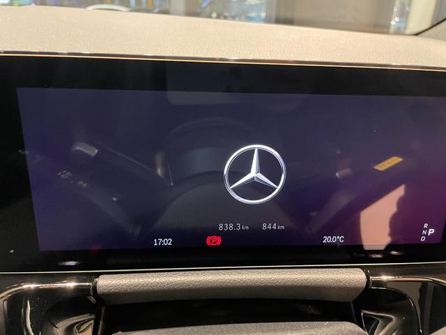 ＥＱＡ ＥＱＡ２５０＋　ＡＭＧラインパッケージ（13枚目）