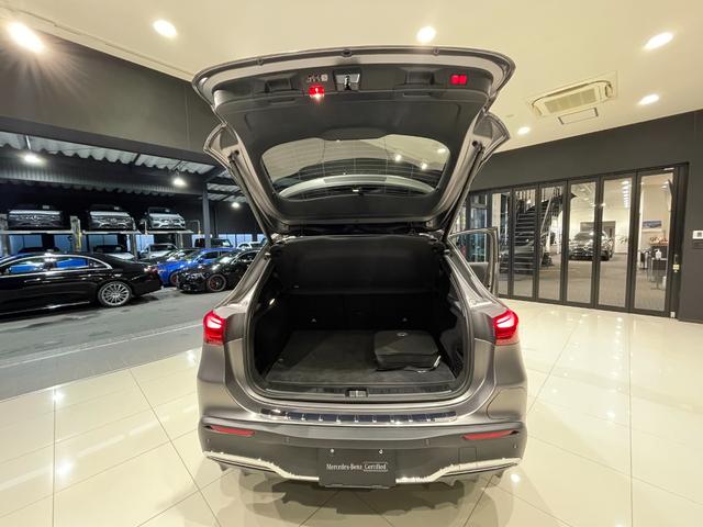 ＥＱＡ ＥＱＡ２５０＋　ＡＭＧラインパッケージ（30枚目）