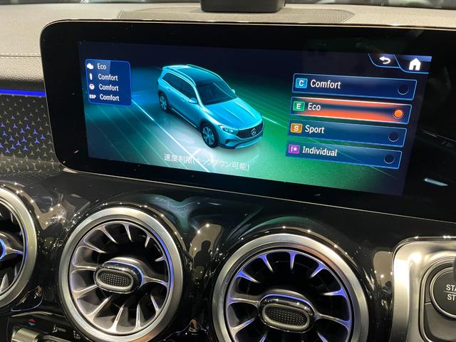 ＥＱＢ ＥＱＢ２５０＋ＡＭＧレザーエクスクルーシブパッケージ　パノラミックスライディングルーフ（28枚目）