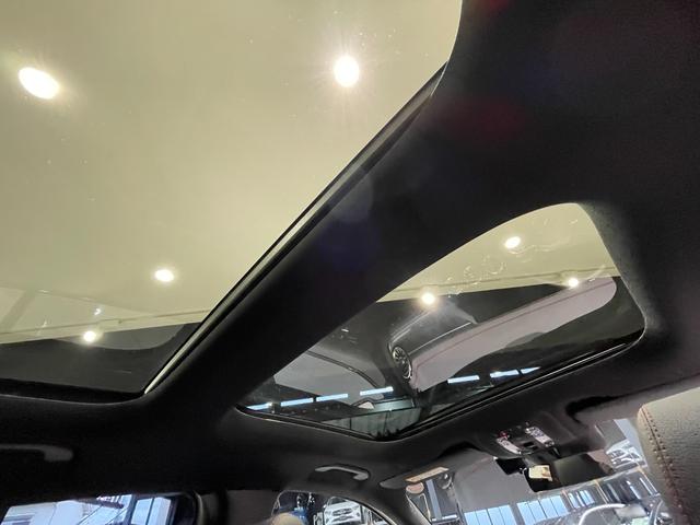 EQA EQA250+ AMGラインパッケージ 近隣府県限定 アドバンスドパッケージ パノラミックスライディングルーフ 仕様変更あり(18枚目)