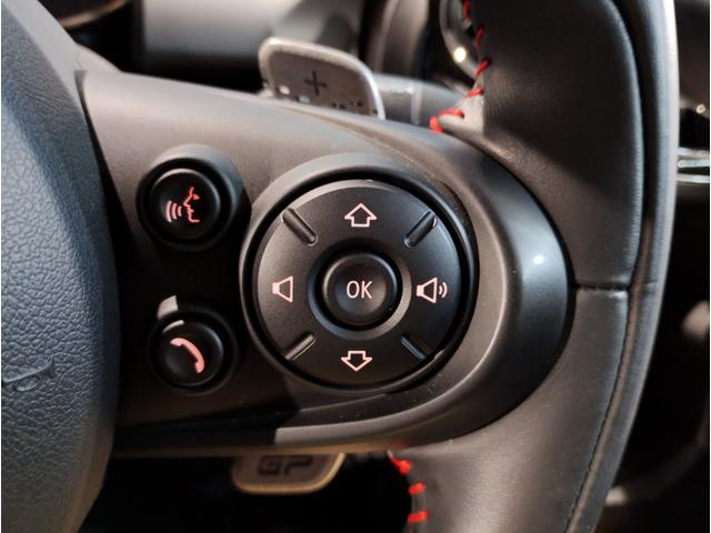 MINI ジョンクーパーワークスGP 世界3000台限定車 日本240台限定車 レッドブレーキキャリパー ダイナミカレザー バックカメラ 純正HDDナビ 専用18インチAW ミラー型ETC(51枚目)