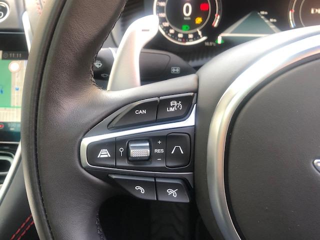 DBX ベースグレード 4、0 V8 4WD 黒革前後ベンチレーションシート シートヒーター ナビ TV 全方位モニター パノラマガラスルーフ パワーテールゲート パドルシフト 22インチアルミ レッドキャリパー(31枚目)