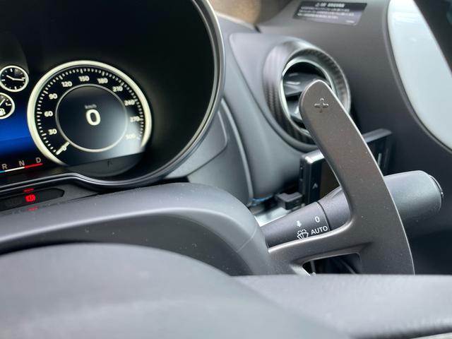 ピュア　サベルトバケットシート　４ポットキャリパー　ドライブレコーダー　ＥＴＣ　ガラスコーティング施工済み(25枚目)