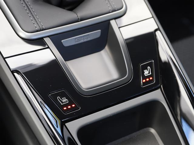 911 カレラT 左ハンドル 7速MT イオナイザー(14枚目)