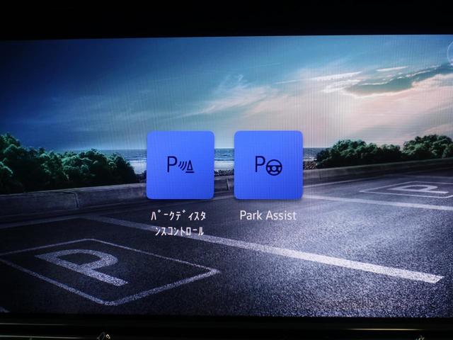 ゴルフＲ ２０イヤーズ（20枚目）