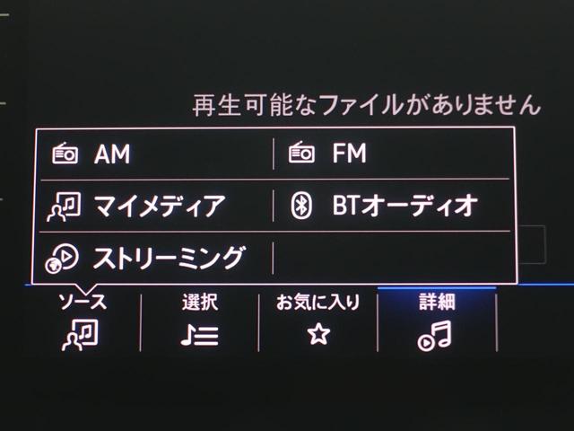 Ｔ－ロック ＴＳＩ　スタイル（13枚目）