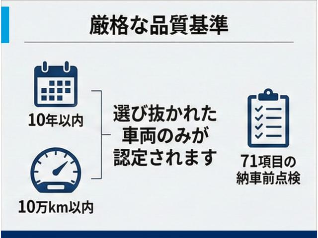 Ｔ－ロック ＴＳＩ　スタイル（32枚目）