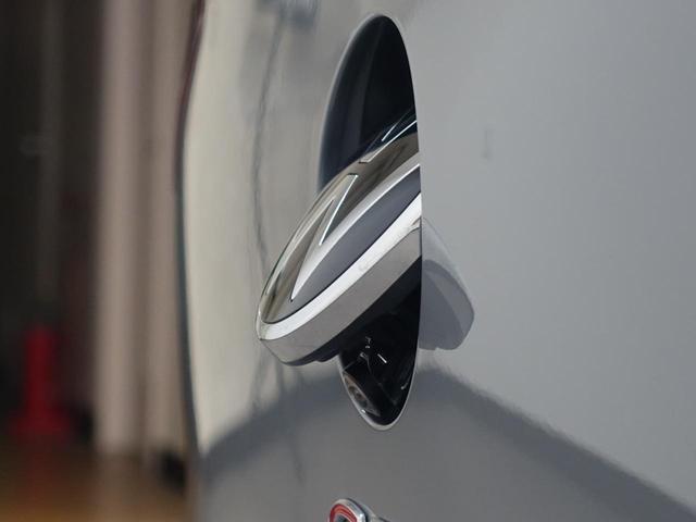 �G���u�����i�[�o�b�N�J����