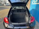 VOLKSWAGEN THE BEETLE