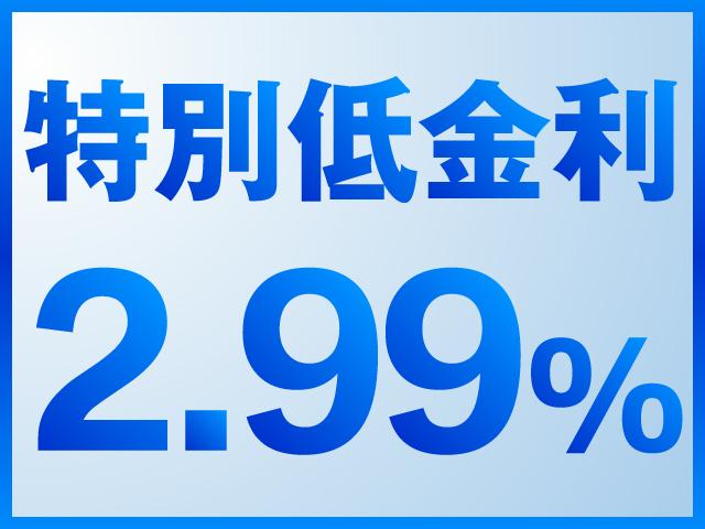 sDrive20iファッショニスタ 純正HDDナビキセノン(4枚目)