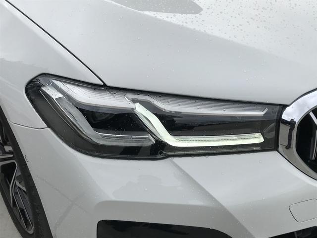 523i Mスポーツ 弊社下取車 ブラックレザーシート アクティブクルーズコントロール 衝突被害軽減ブレーキ 全周囲カメラ TVチューナー 純正19インチアルミホイール シートヒーター 電動シート スマートキ― ワンオーナ(34枚目)