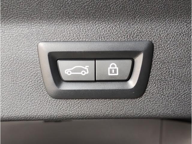 X3 xDrive 20d Mスポーツ モカレザー シートヒーター AAC アクティブベンチレーションシート フロントシートランバーサポート ステアリングサポート 軽減ブレーキ 純正HDDナビ バックカメラ 19インチホイール電動リアゲート(36枚目)