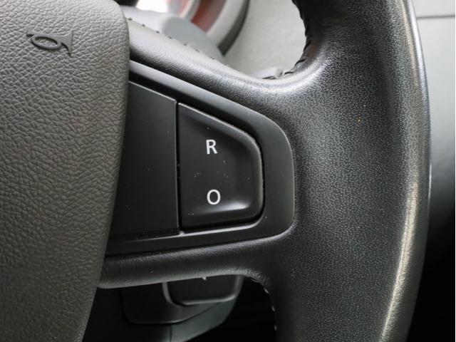 カングー クルール　禁煙　２００台限定特別仕様車　特別ボディカラー　ブラック前後バンパー　電動格納式ブラックドアミラー　ゲトラグ製６段ＥＤＣ　ＵＳＢ端子　Ｂｌｕｅｔｏｏｔｈ　両側スライドドア　リア観音開きドア（35枚目）