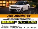 CHRYSLER JEEP JEEP COMPASS