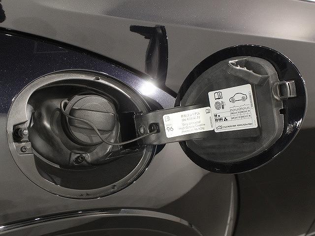 ザ・ビートル Ｒラインマイスター　バイキセノンヘッドライト　クルーズコントロール　インテリアアンビエントライト　リヤスポイラー　純正１８インチアルミホイール　ブラインドスポットディテクション（48枚目）