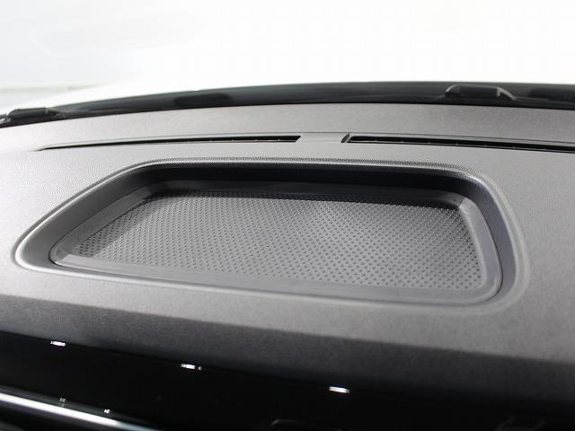 ザ・ビートル Ｒラインマイスター（12枚目）